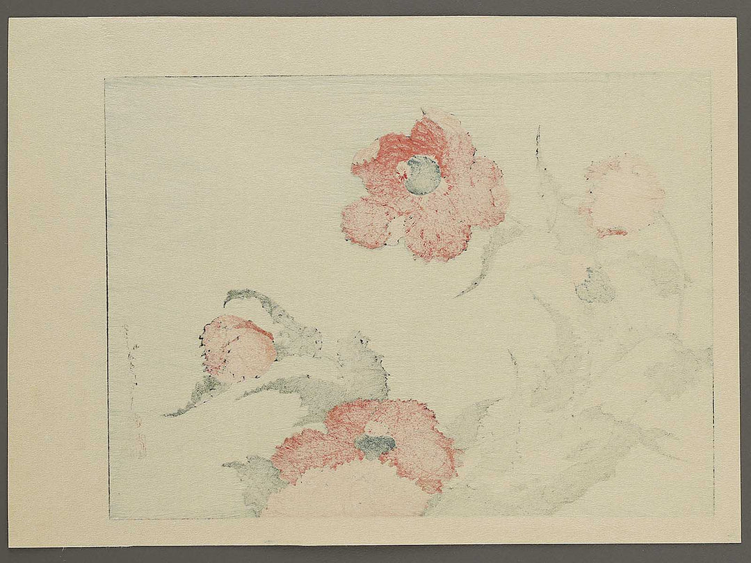 A poppy by Katsushika Hokusai, (Medium print size) / BJ327-334