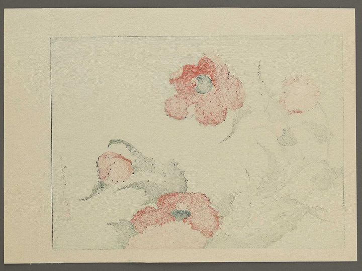 A poppy by Katsushika Hokusai, (Medium print size) / BJ327-334