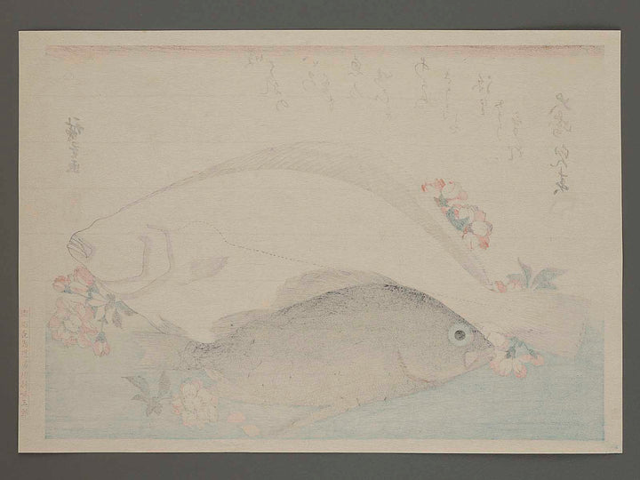 Halibut, Rockfish & Cherry Blossoms from the series the series FISH by Utagawa Hiroshige, (Large print size) / BJ234-997
