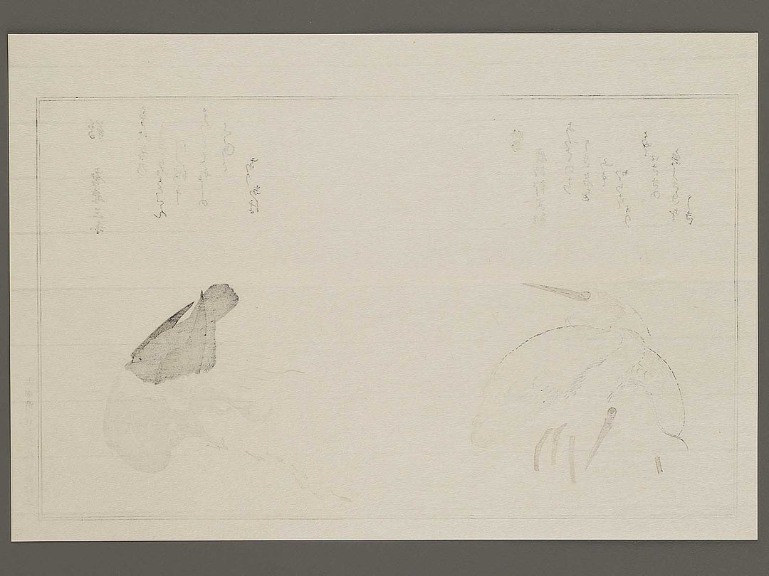 Cormorant and Heron from the series Momochidori kyoka awase by Kitagawa Utamaro, (Large print size) / BJ328-041