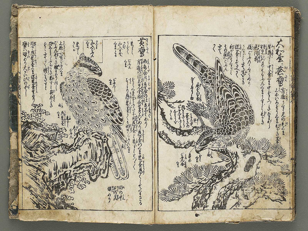 Ehon shaho bukuro Volume 8 by Tachibana Yuzei / BJ332-773