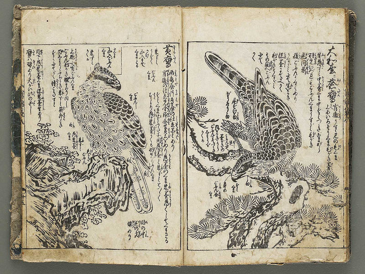 Ehon shaho bukuro Volume 8 by Tachibana Yuzei / BJ332-773