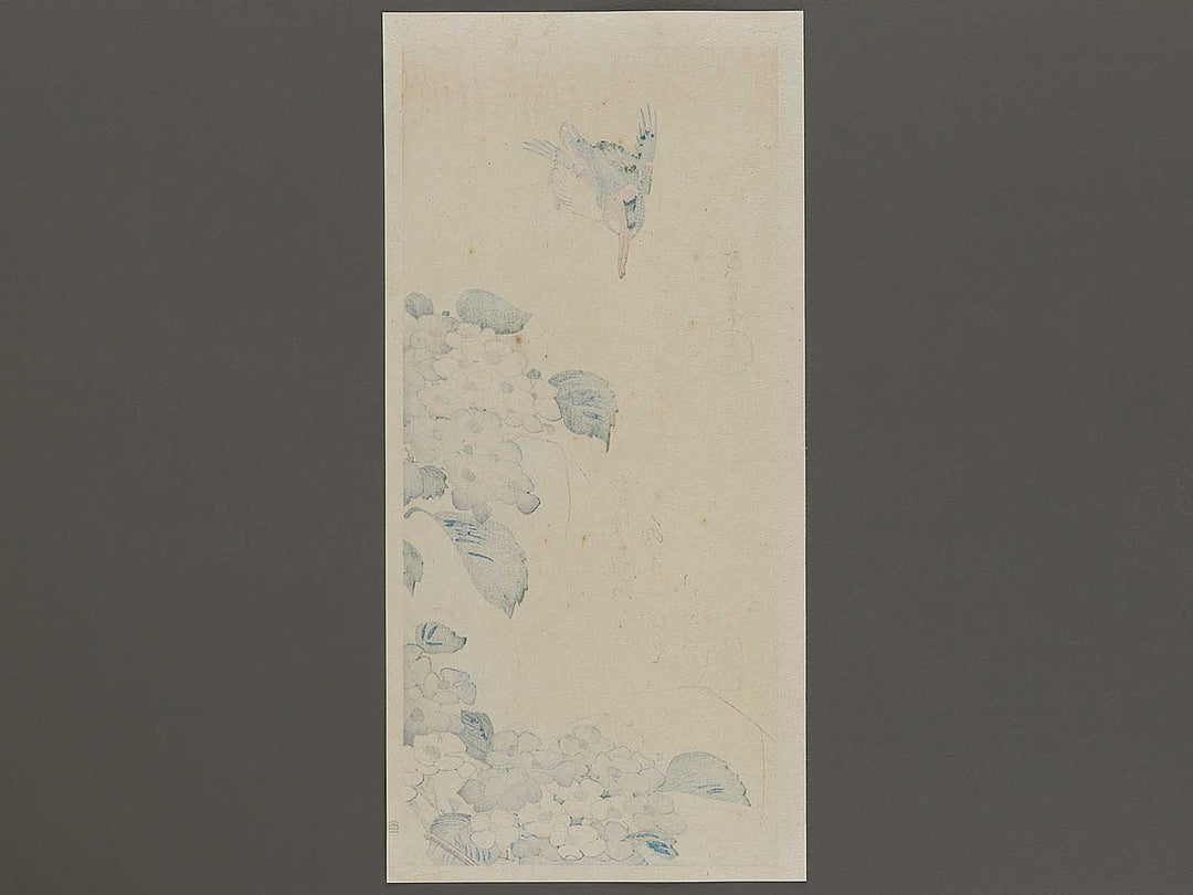 Hydrangea glue cicada by Utagawa Hiroshige, (Medium print size) / BJ328-153