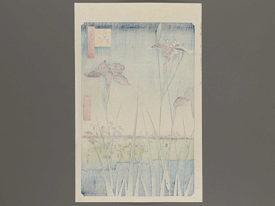 Horikiri Iris Garden from the series One Hundred Famous Views of Edo by Utagawa Hiroshige, (Large print size) / BJ318-458