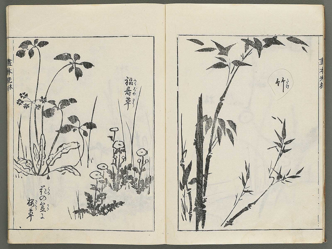 Korin michishirube by Nonomura Chubee / BJ351-134