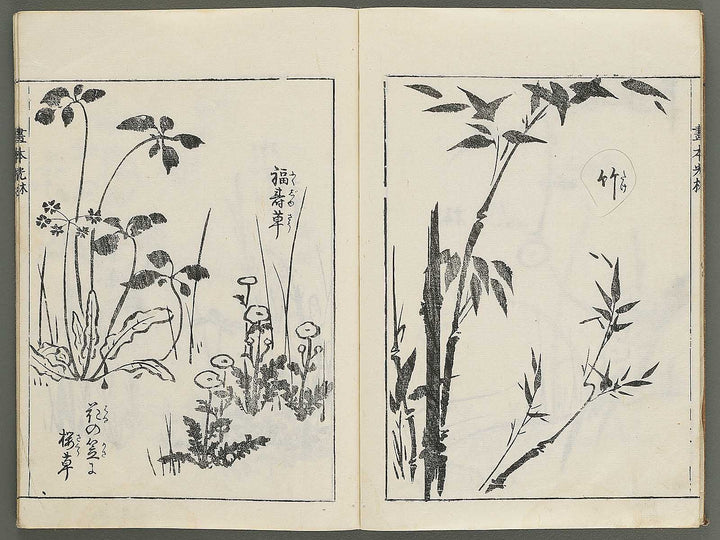 Korin michishirube by Nonomura Chubee / BJ351-134