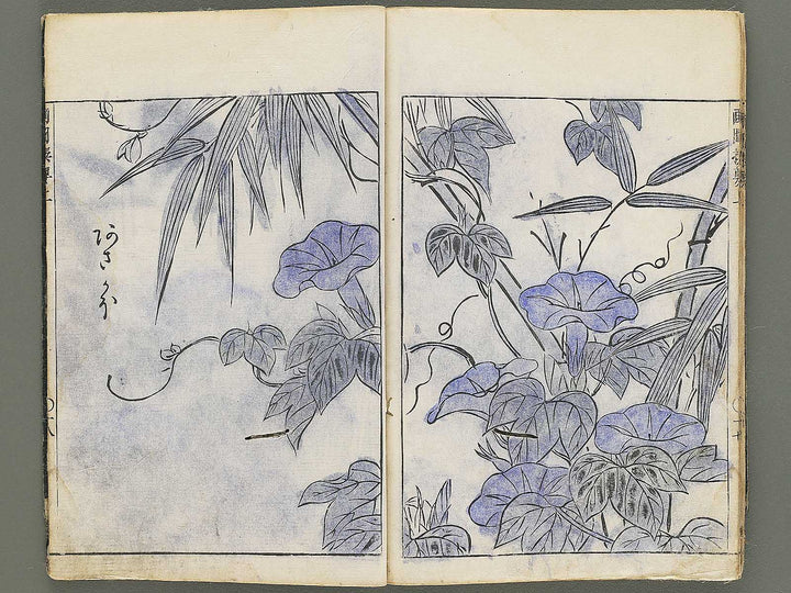 Gazu senyo (Jo) by Gyokusuisai Yoshikane / BJ354-249