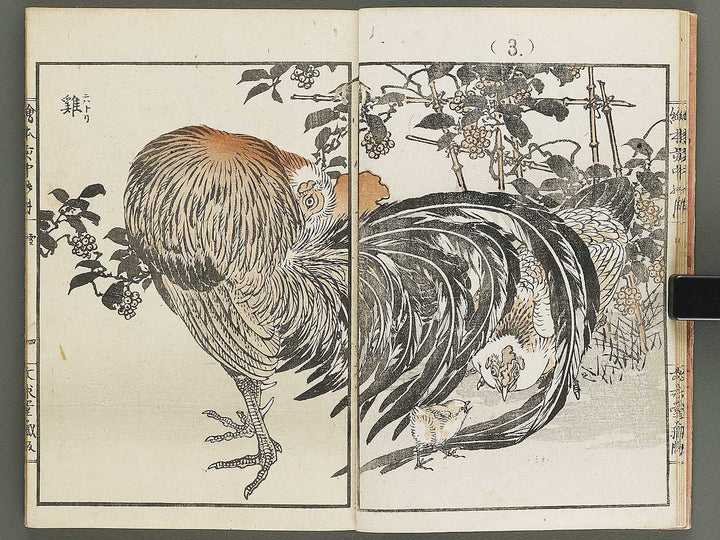 Ehon inaka no tsuki Setsu by Kono Bairei / BJ341-222