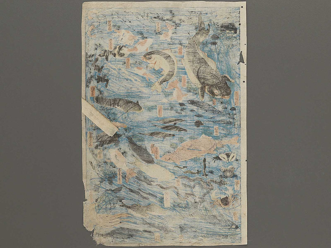 Sakana zukushi / BJ325-836