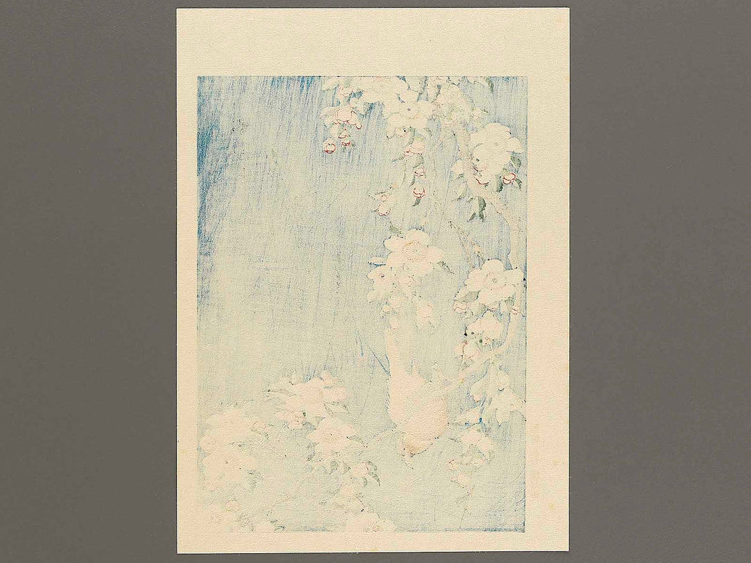 Weeping cherry blossoms against a dark indigo background, capturing the moment a Japanese bullfinch comes to peck at the blossoms. by Katsushika Hokusai, (Medium print size) / BJ319-445