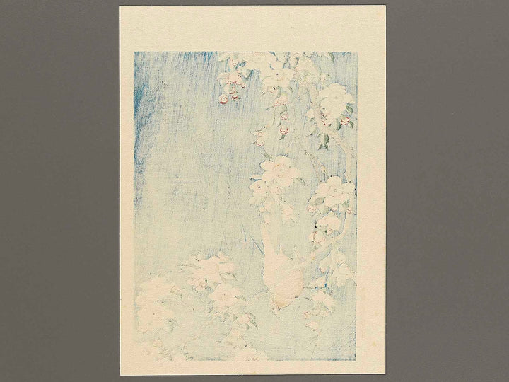Weeping cherry blossoms against a dark indigo background, capturing the moment a Japanese bullfinch comes to peck at the blossoms. by Katsushika Hokusai, (Medium print size) / BJ319-445