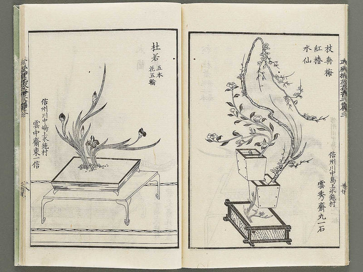 Shofu soka koromo no ka Part 3, Book 3 by Tawaraya Sori / BJ333-851