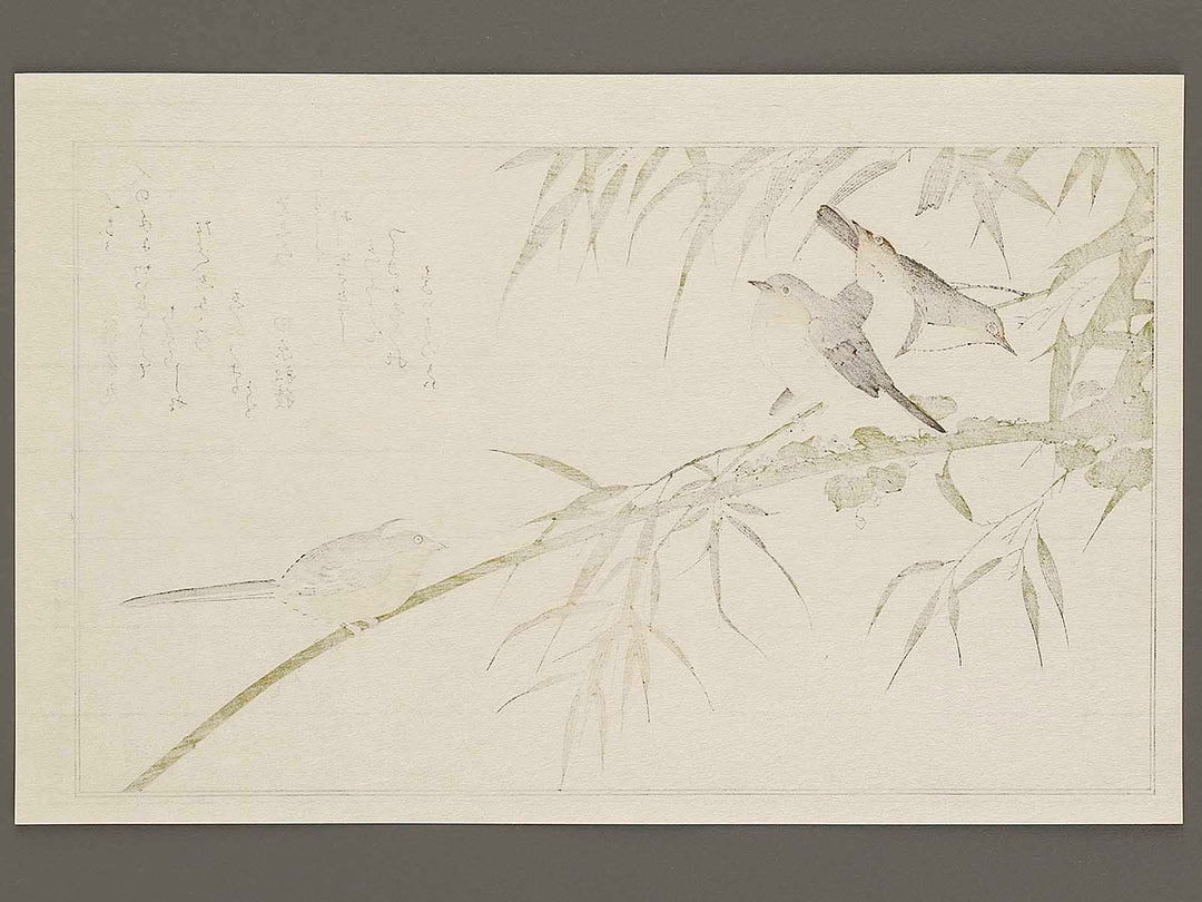 Long tailed Tit and White-eyes from the series Momochidori kyokaawase by Kitagawa Utamaro, (Large print size) / BJ328-006