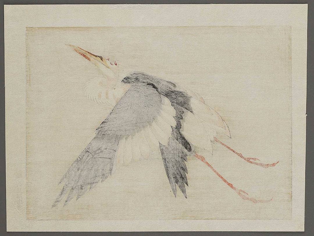 Konotori by Katsushika Hokusai / BJ321-650