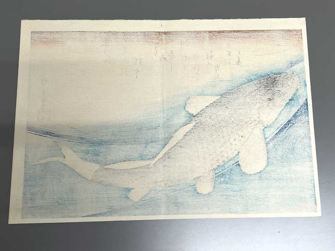 Japanese Carp from the series the series fish by Utagawa Hiroshige, (Large print size) / BJ325-619