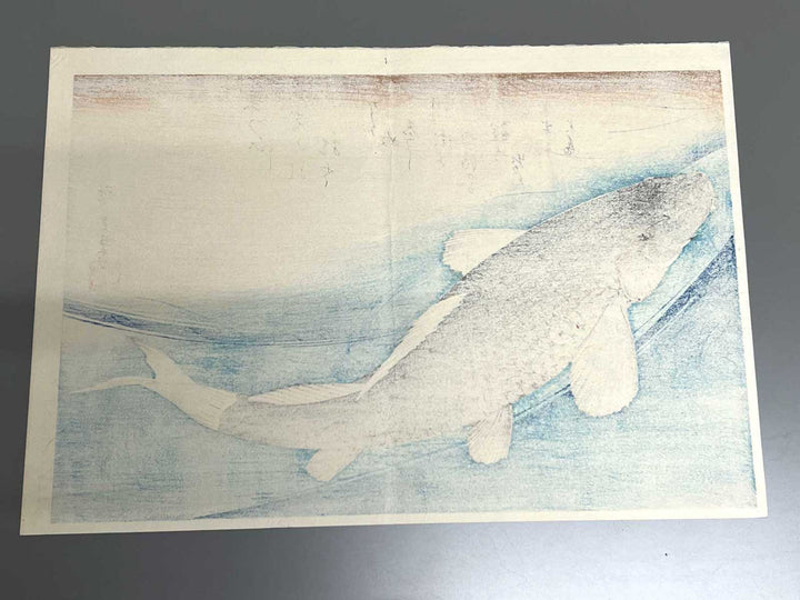 Japanese Carp from the series the series fish by Utagawa Hiroshige, (Large print size) / BJ325-619