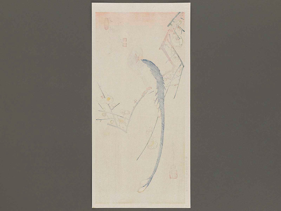 White plum blossoms & long tailed cock by Utagawa Hiroshige, (Medium print size) / BJ328-090