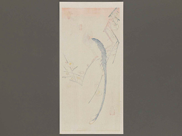 White plum blossoms & long tailed cock by Utagawa Hiroshige, (Medium print size) / BJ328-090