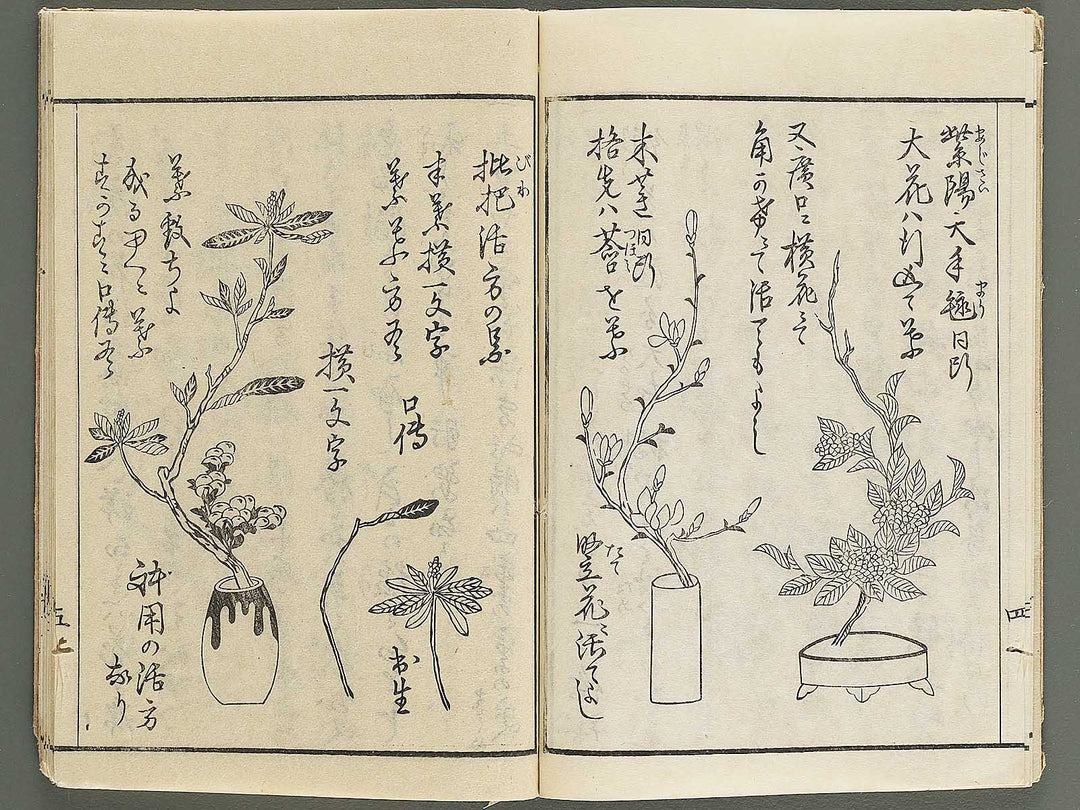 Koshu onryu kajutsu chuden no maki / BJ347-872