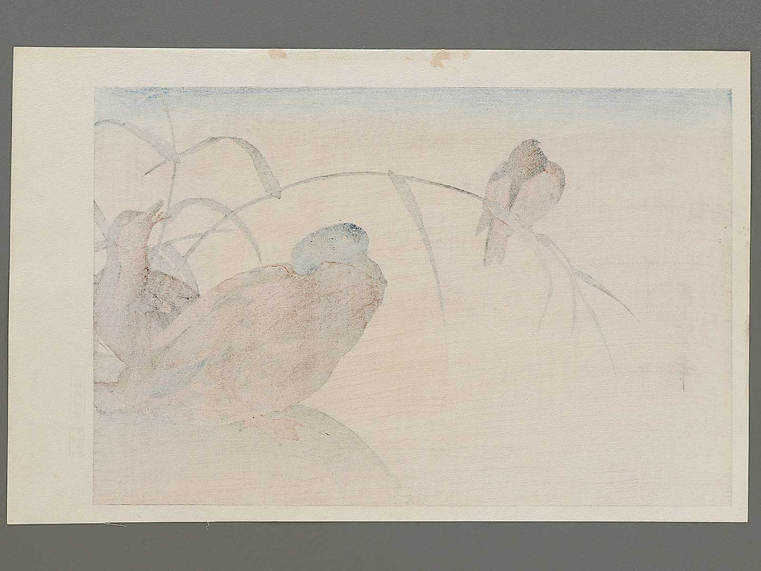 Duck and Kingfisher from the series Momotidori kyoka awase by Kitagawa Utamaro, (Large print size) / BJ331-667