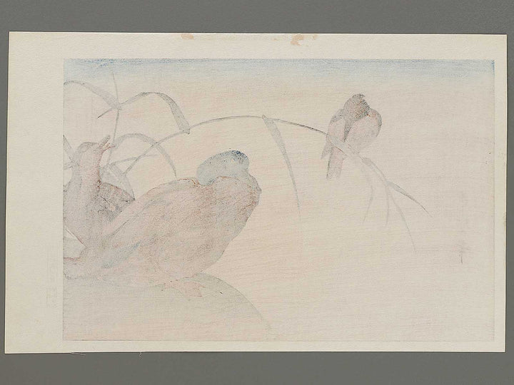 Duck and Kingfisher from the series Momotidori kyoka awase by Kitagawa Utamaro, (Large print size) / BJ331-667