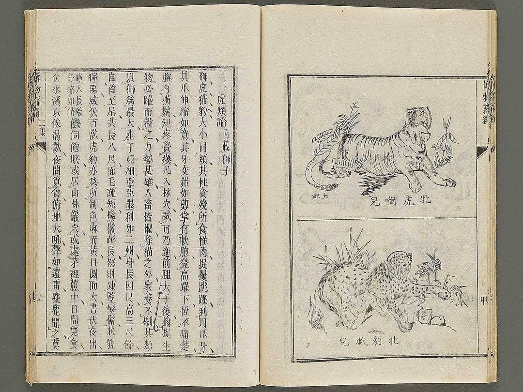 Hakubutsu Shinpen Volume 3 / BJ336-476