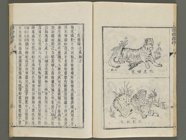 Hakubutsu Shinpen Volume 3 / BJ336-476