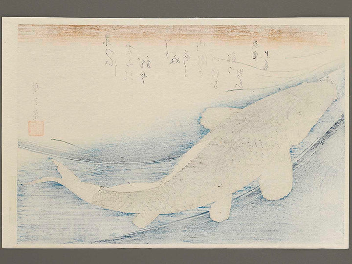 Japanese Carp from the series the series fish by Utagawa Hiroshige, (Large print size) / BJ322-819