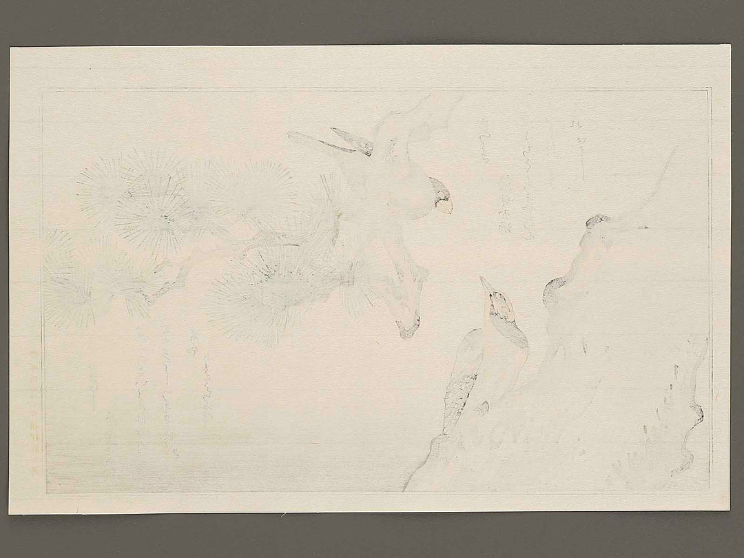 Japanese Grosbeak and Woodpecker from the series Momochidori kyokaawase by Kitagawa Utamaro, (Large print size) / BJ328-027