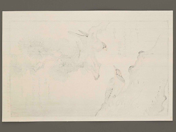 Japanese Grosbeak and Woodpecker from the series Momochidori kyokaawase by Kitagawa Utamaro, (Large print size) / BJ328-027