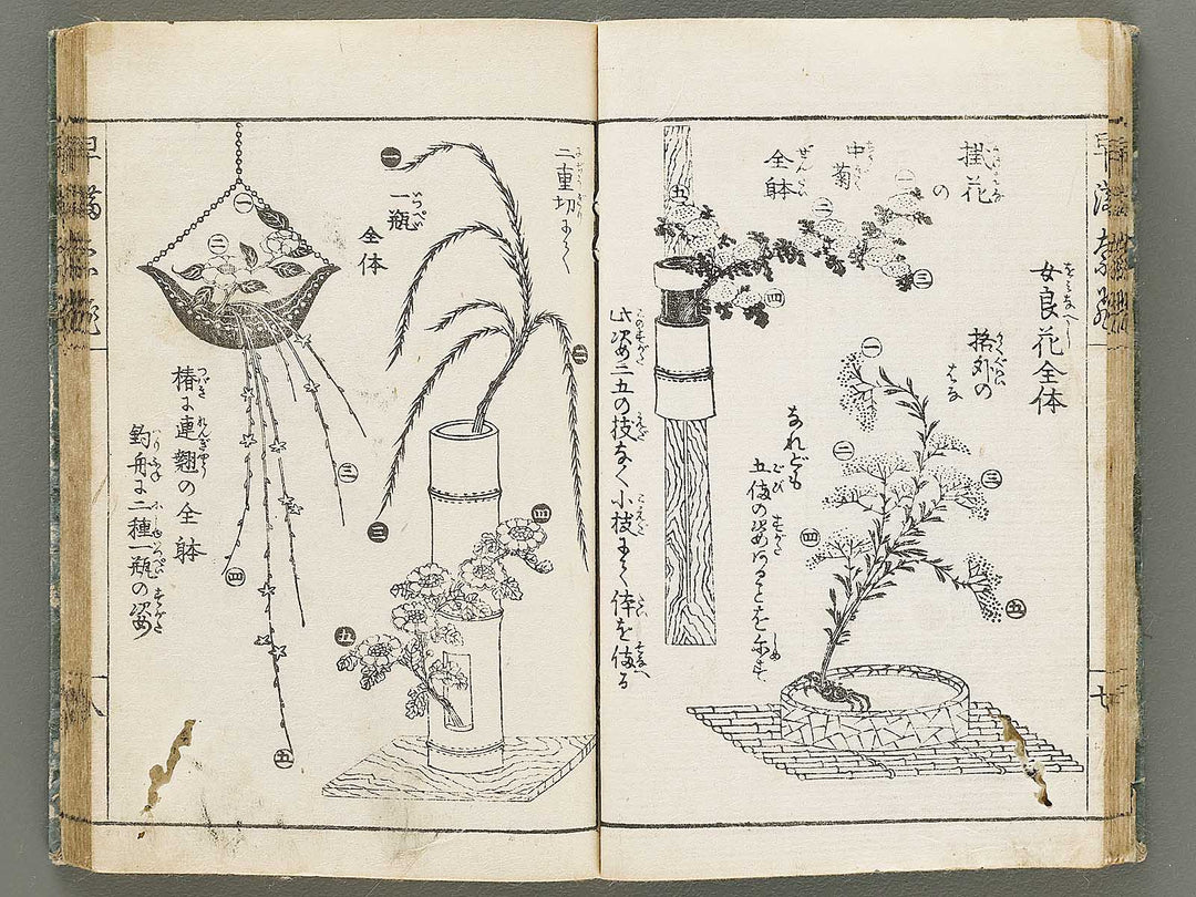 Ikebana hayamanabi / BJ331-275