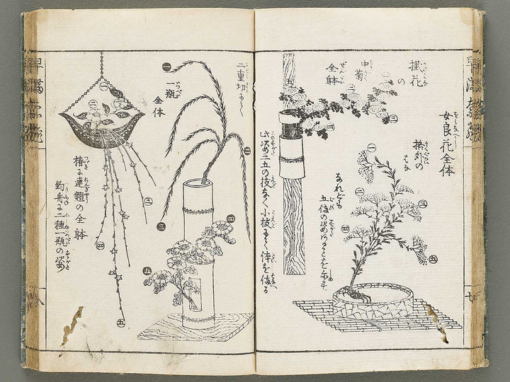 Ikebana hayamanabi / BJ331-275