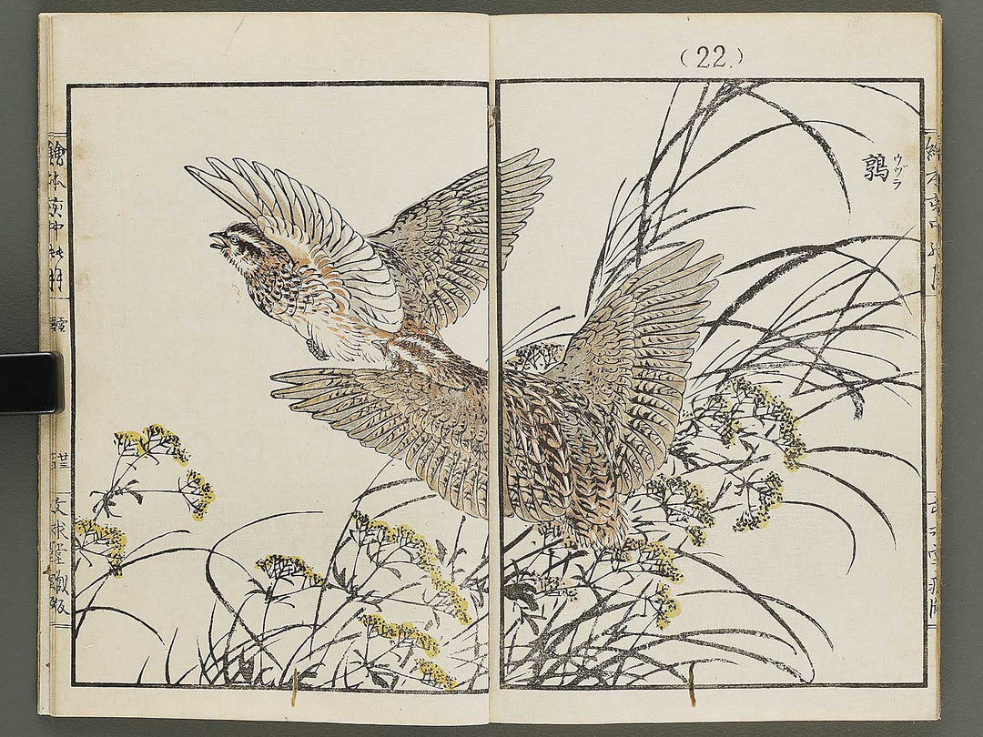 Ehon inaka no tsuki Setsu by Kono Bairei / BJ341-222