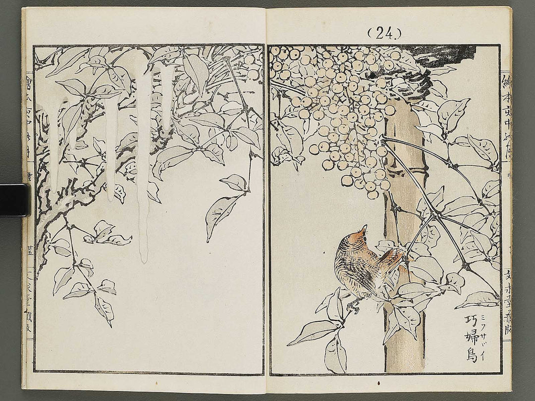 Ehon inaka no tsuki Setsu by Kono Bairei / BJ341-222