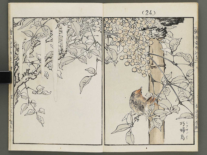 Ehon inaka no tsuki Setsu by Kono Bairei / BJ341-222