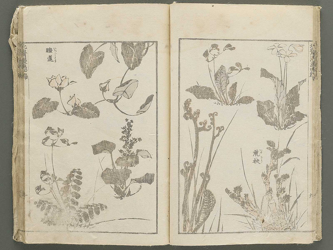 Hokusai manga Volume 4 by Katsushika Hokusai / BJ348-474