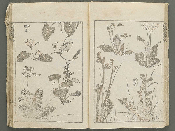 Hokusai manga Volume 4 by Katsushika Hokusai / BJ348-474
