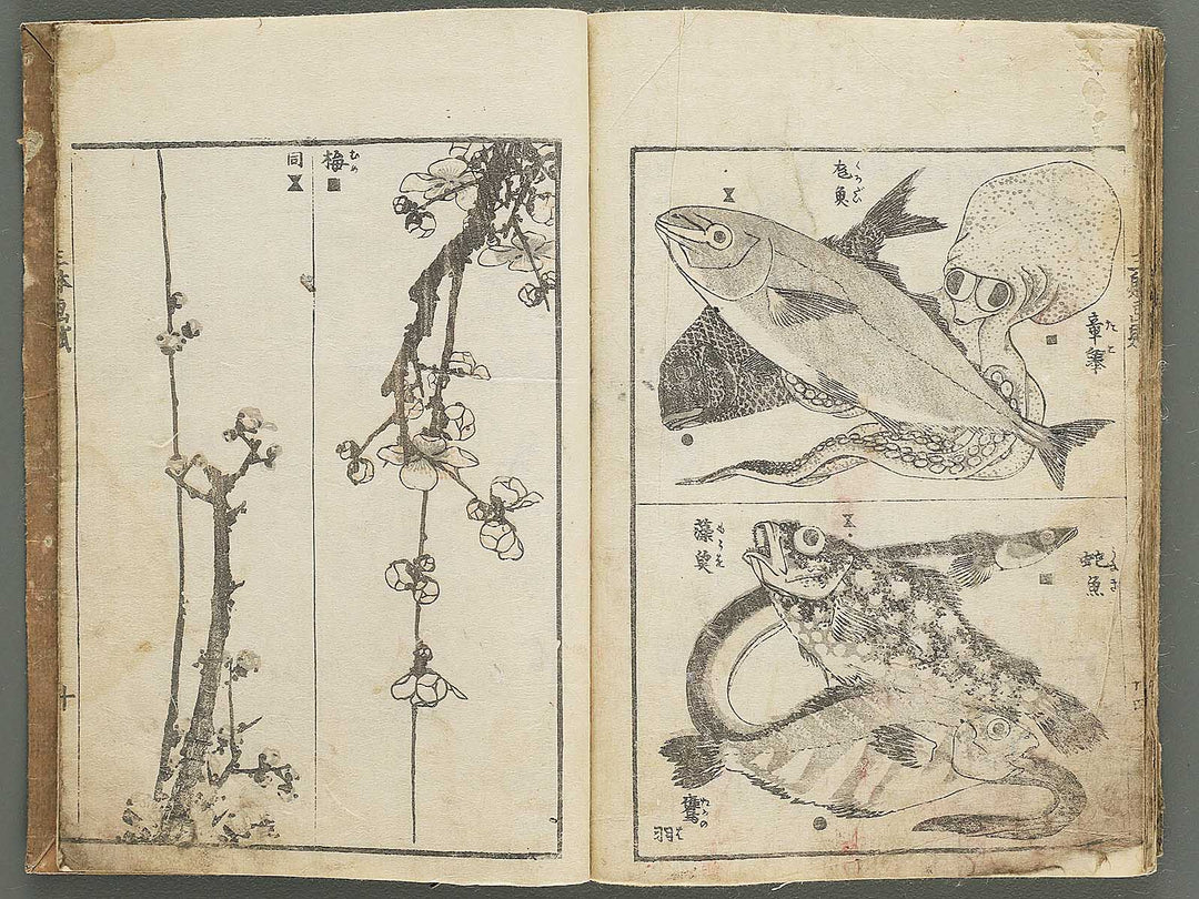 Santei gafu by Katsushika Hokusai / BJ347-074