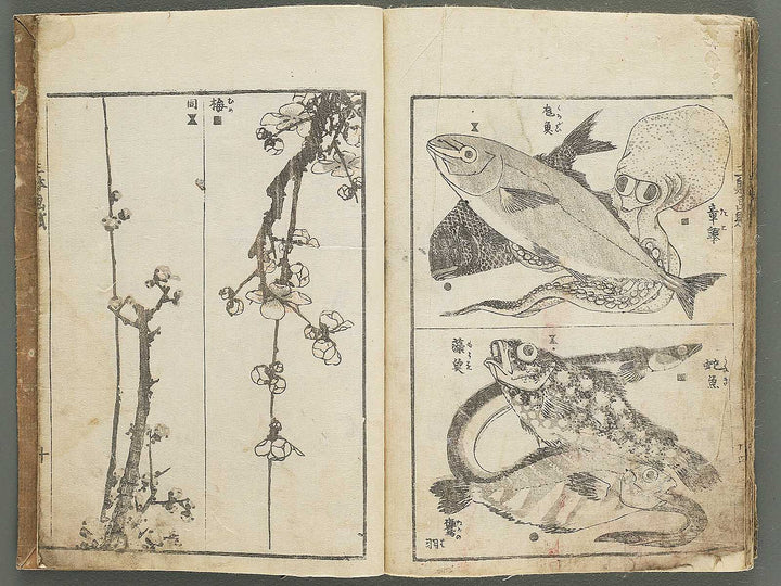 Santei gafu by Katsushika Hokusai / BJ347-074