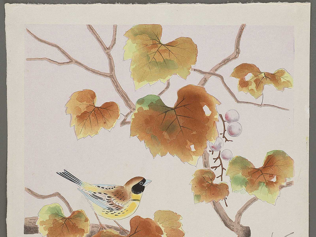 Budo ni shimaaoji by Ashikaga Shizuo, (Large print size) / BJ331-345