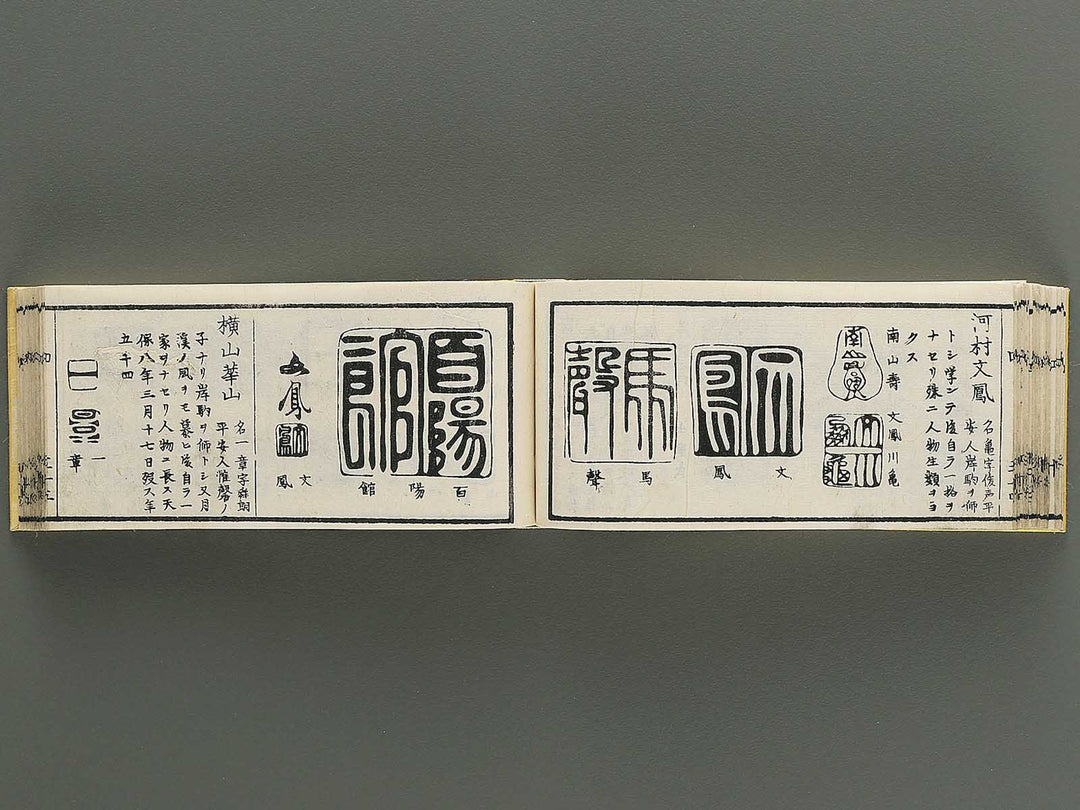 Shoga hikkei meika zensho Volume 4 / BJ348-621
