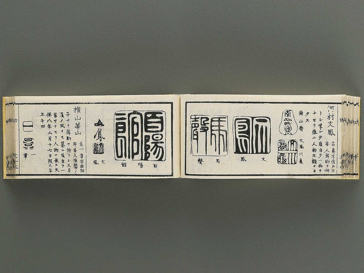 Shoga hikkei meika zensho Volume 4 / BJ348-621