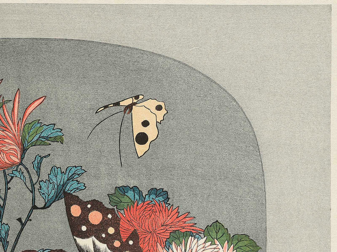 Kiku ni cho by Utagawa Hiroshige, (Large print size) / BJ339-248