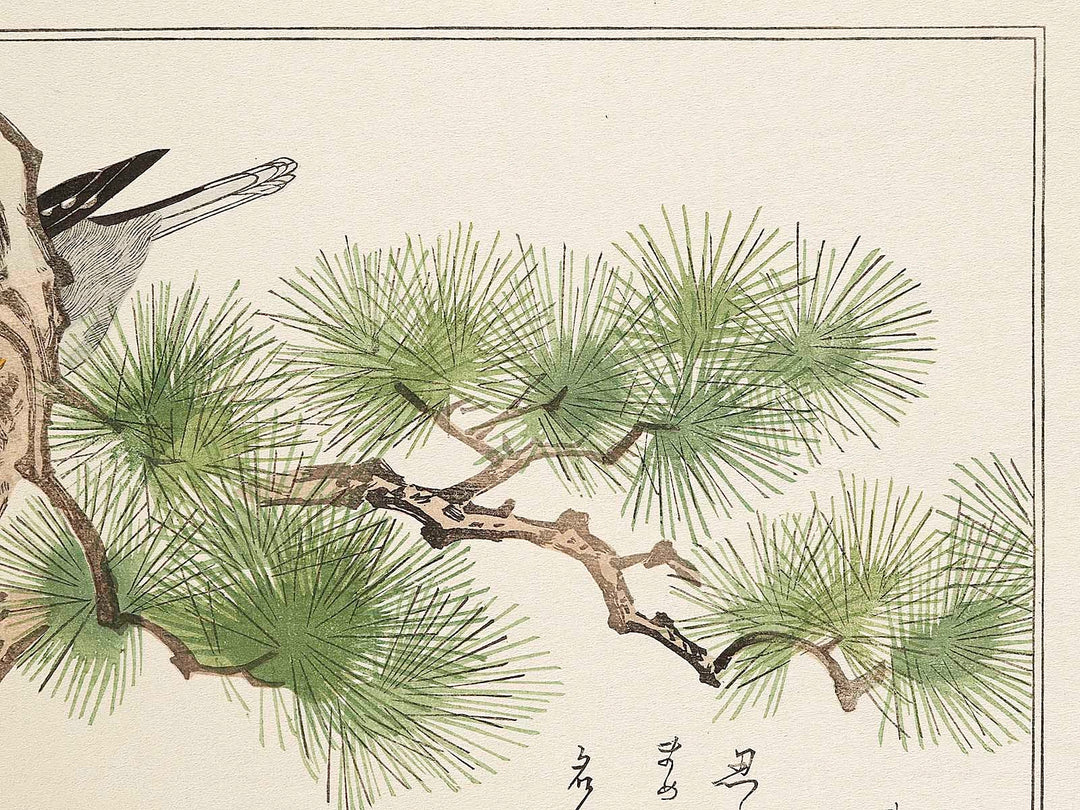 Japanese Grosbeak and Woodpecker from the series Momochidori kyokaawase by Kitagawa Utamaro, (Large print size) / BJ328-027