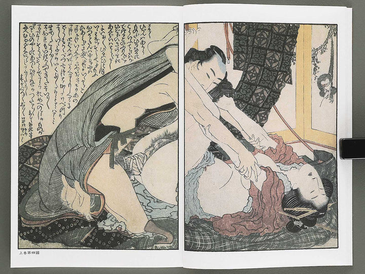 Ezoshi Konoe no komatsu Volume 3 by Katsushika Hokusai / BJ346-437