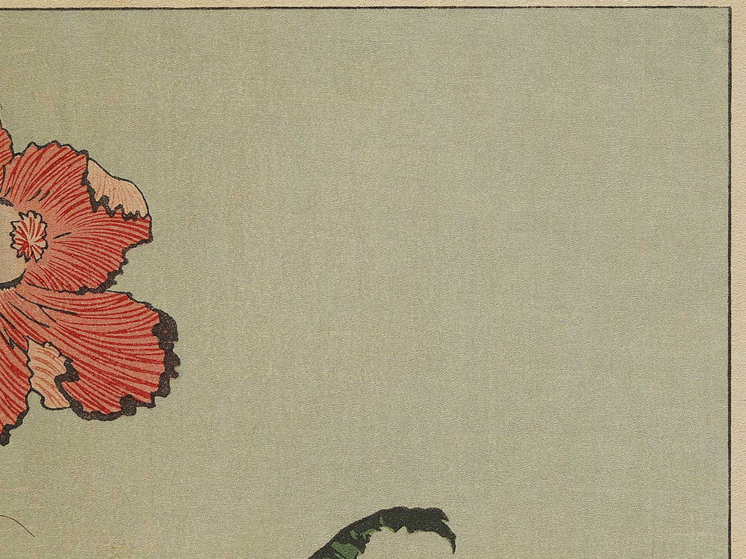 A poppy by Katsushika Hokusai, (Medium print size) / BJ321-734