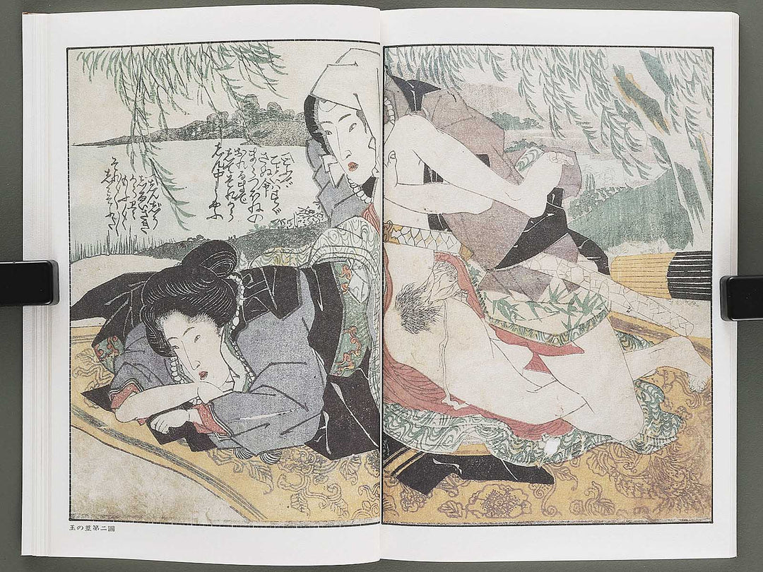 Ezoshi Fuji no yuki Volume 10 by Keisai Eisen / BJ346-472