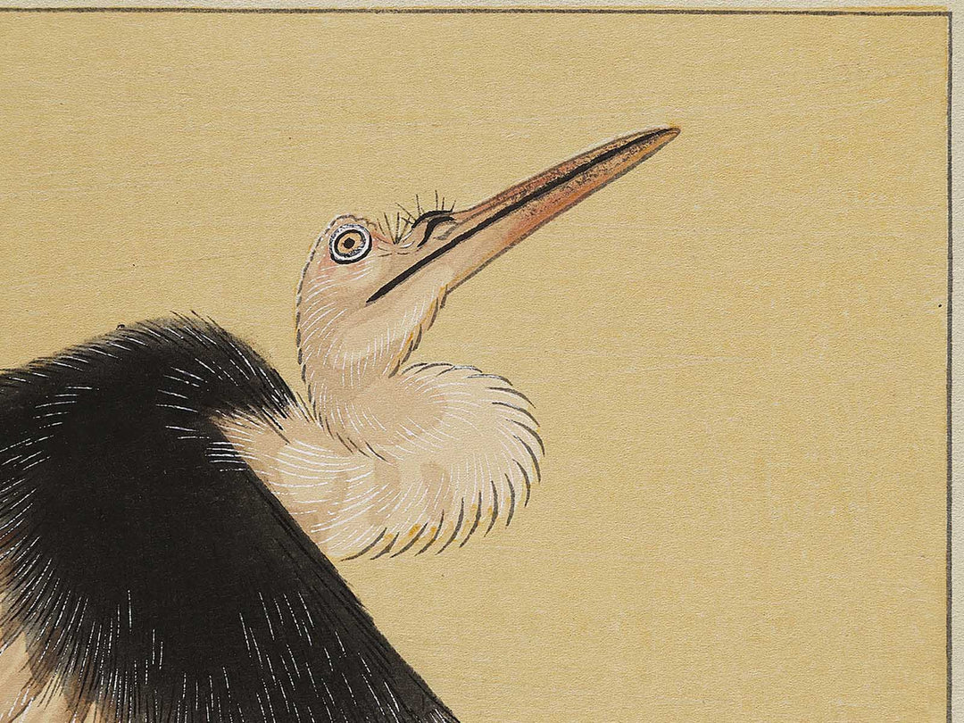 Konotori by Katsushika Hokusai, (Medium print size) / BJ327-446
