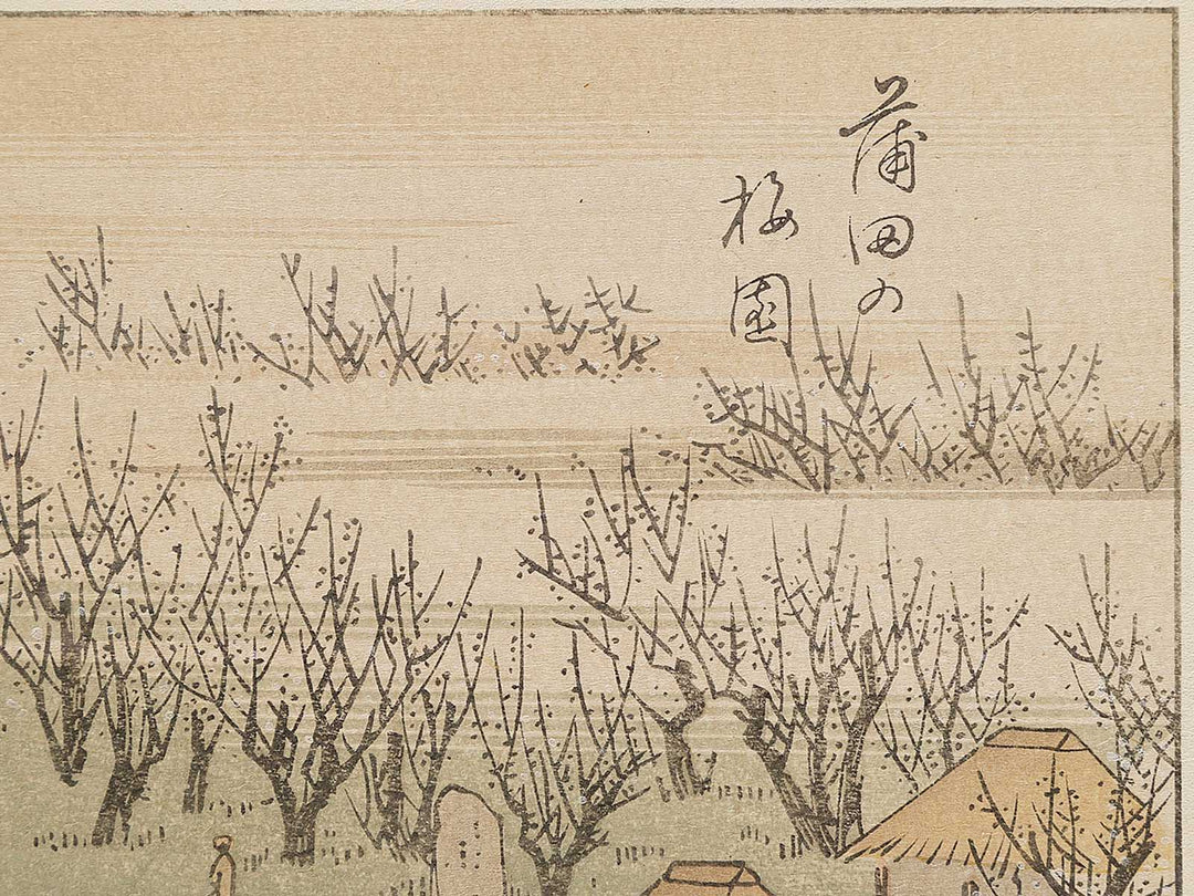 Kamata no baien from the series Ehon edo miyage by Utagawa Hiroshige, (Large print size) / BJ332-094