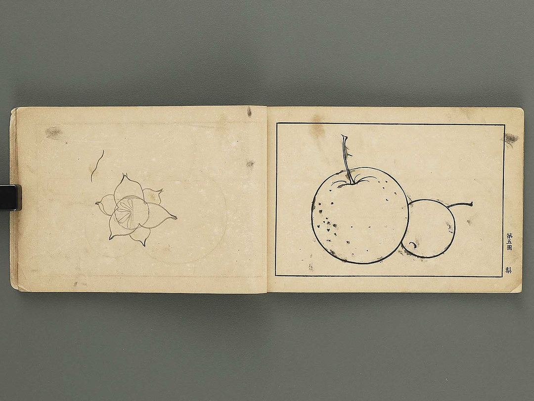 Koto shogaku mohitsuga tehon / BJ349-349